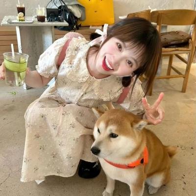 青春突击