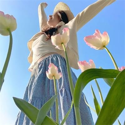 古尔德的32个短片